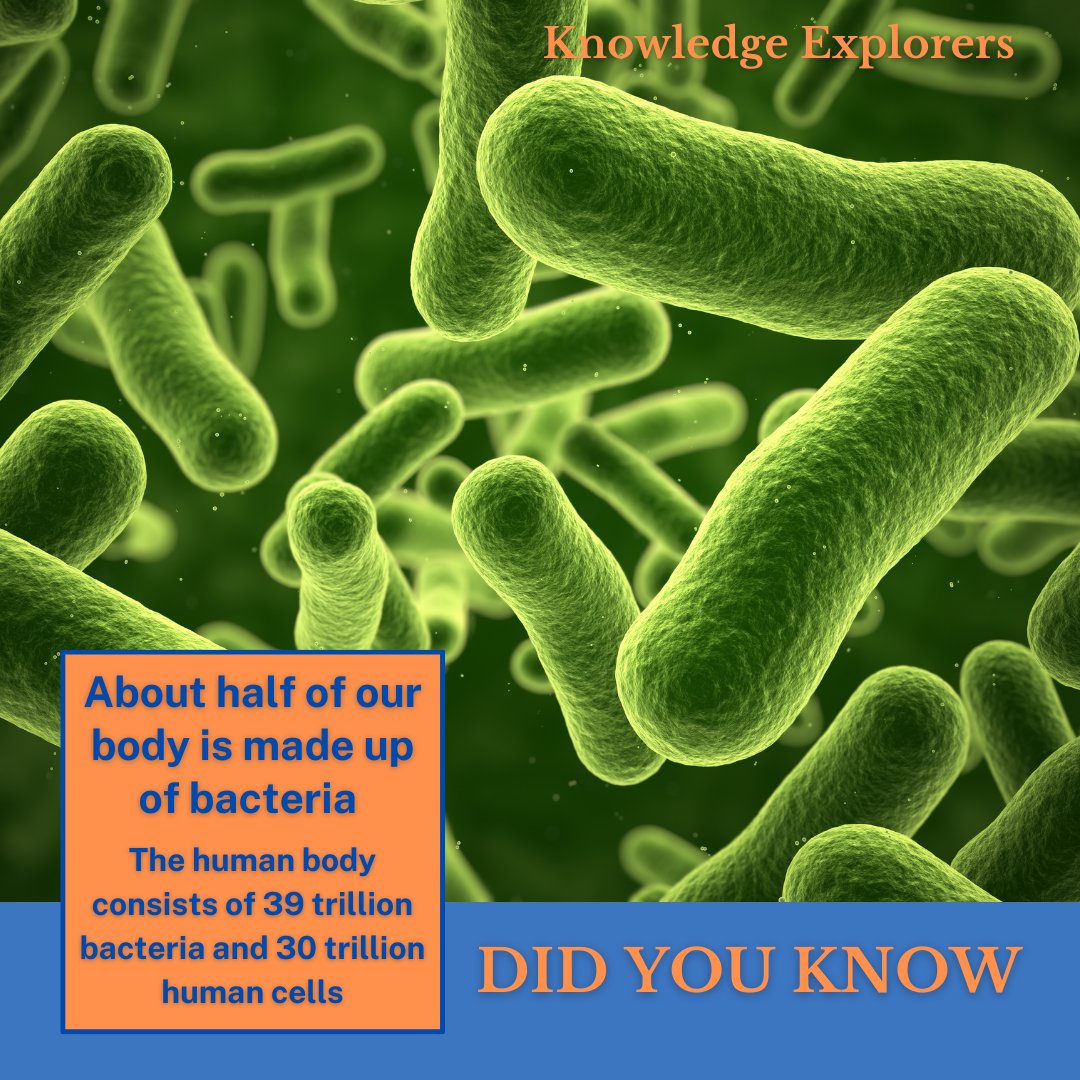 KnowledgeExp1's tweet image. Mind-blowing fact: Nearly half of our body is composed of bacteria! With 39 trillion bacteria coexisting alongside 30 trillion human cells, our biological world is a fascinating blend of microbial life. J#MicrobiomeMagic.  #HumanBiology #KnowledgeExplorers #ScienceFacts