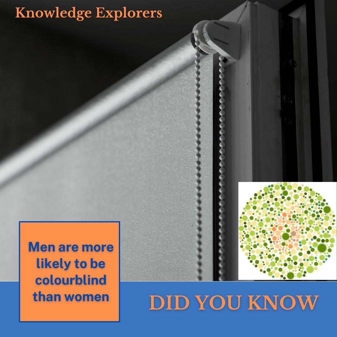 KnowledgeExp1's tweet image. 🌈👁️‍🗨️ Fun fact: Men are statistically more prone to color blindness than women. Delve into the intriguing realms of genetics and human vision with Knowledge Explorers. 🧬📚 #ColorBlindness #Genetics #KnowledgeExplorers #ScienceFacts