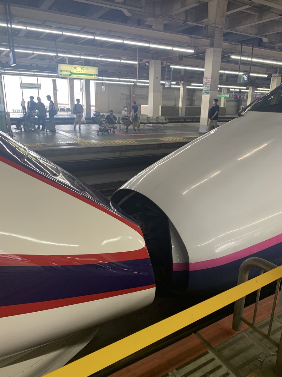 For travelers to Japan! 🇯🇵 | FUJI PUBLISHING tweet media