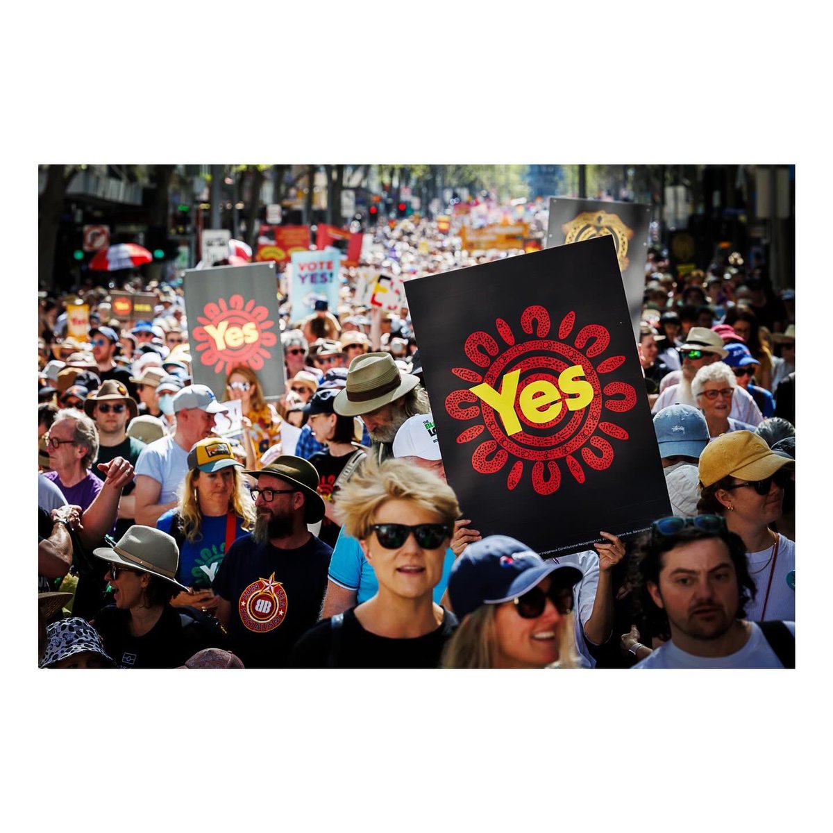 Sydney Low tweet media