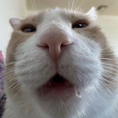 Blue_DoesStuff's tweet photo. #NewProfilePic https://t.co/geAz5E00Zp