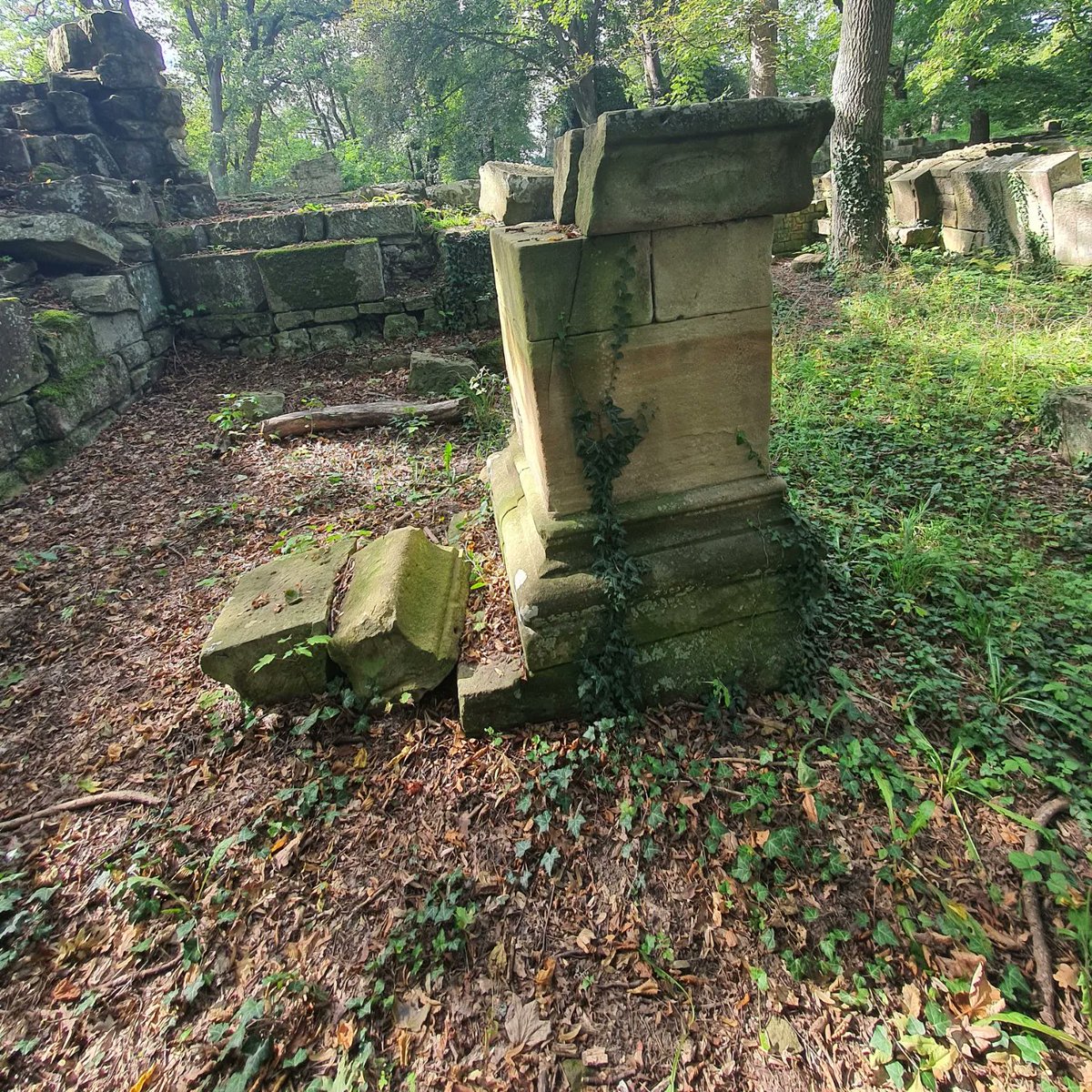 Nocerous's tweet photo. #Hildegardvonbingen #Disibodenberg 11th century abbey ruins on an overgrown wooded hilltop. https://t.co/OuYInF75az
