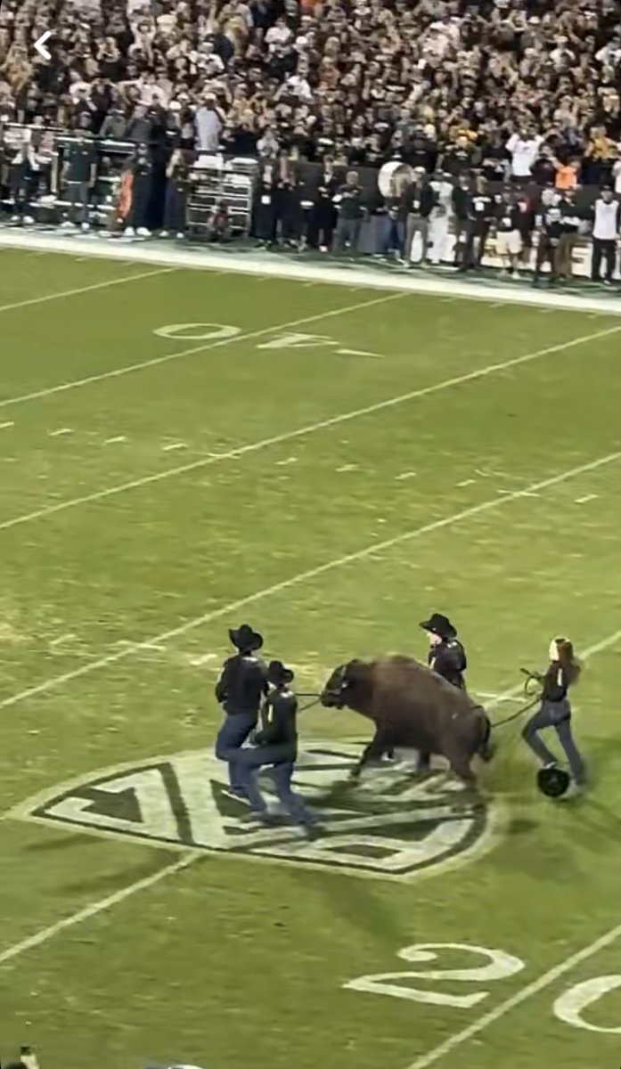 BluejayCardinal's tweet image. Great game so far!

Forgot the Bison was going to come out so I had to leave the lane at the nacho stand to catch it. Luckily I did.

#funenvironment