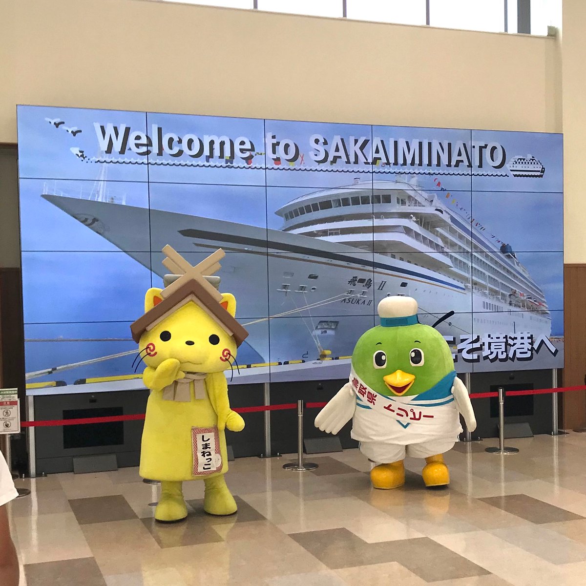 本日、境港にクルーズ客船の飛鳥Ⅱが寄港🛳。飛鳥Ⅱは今年初めての境港寄港です。境夢みなとターミナル内でトリピーとしまねっこが乗客の方々を歓迎しました😊飛鳥Ⅱは17時出港予定です。
#飛鳥2
#クルーズ客船
#客船寄港
#客船
#境夢みなとターミナル
#境港
#トリピー
#しまねっこ
#ゆるキャラ