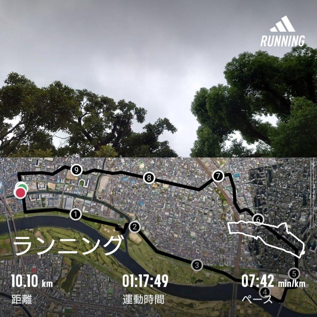 homma_t's tweet photo. 飲んだ翌朝、走らなきゃ🏃‍♂と思ってスタートしましたが、内臓（胃？）がお疲れぎみで休み休みラン。
くもっていたので河川敷を走りましたが、まだ蒸し暑いですね～💦
#run #running #sundayrun #septemberrun #arakawa #hangoverrun https://t.co/x6Dng3HeSA