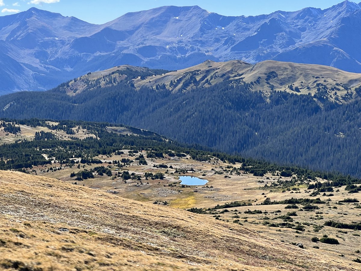 MollyTeachesFCS's tweet photo. We drove thru Boulder, into Boulder Canyon and then up Peak to Peak hwy, then thru RMNP up the Old Fall River Road and down Trailridge.
Aspens haven't really started to turn yet.
#RockyMountainNationalPark
#RMNP
#OldFallRiverRoad https://t.co/Wbs2PPFLDp