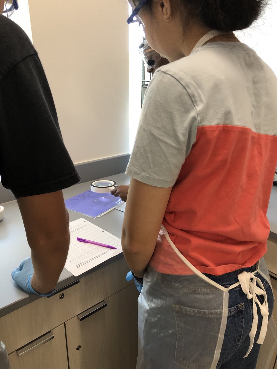 MFretts13's tweet photo. Student Chemists ⁦2023 ⁦@GeneralsPride⁩ ⁦@APSscience⁩ ⁦@WLHSInstruction⁩ https://t.co/dpOhlSGCDd