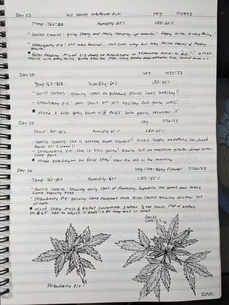 nova2cotton's tweet photo. Random #GrowingTip: Write it Down! 

special thanks to @christi4356 for inspiring this one! 
 
Hey Guys! Wanted to do a quick easy tip and its about Keeping detailed notes and a journal of your cannabis Run. This is an essential practice for both novice and experienced growers. This documentation not only helps you track your progress but also allows you to make informed decisions and troubleshoot any issues that may arise. Here's a simple guide on how to maintain a cannabis growing journal:

1. Setting up Your Journal: O_O

Select a Notebook or Digital Tool: Choose a method that works best for you. Many growers opt for physical notebooks or binders, while others prefer digital tools like spreadsheets, apps, or dedicated cannabis cultivation software. For a water proof and heavy duty notebook i suggest GAK Stone paper!

You can Organize Sections: Divide your journal into sections for different aspects of cultivation, such as seed/strain information, environmental conditions, nutrient schedules, and daily observations. I like to keep it simple and do a linear path! 

2. Record Basic Information:

Strain Information: Include details about the strain you're growing, such as the name, genetics, and breeder information.

Germination and Planting Dates: Note when you planted your seeds or transplanted your clones. you can name your plants so if you are growing the same stain you don't get confused!

3. Environmental Conditions:

Lighting: Document your lighting setup, including the type of lights, wattage, and the light schedule (e.g., 18/6 for vegetative stage and 12/12 for flowering).

Temperature and Humidity: Record daily temperature and humidity levels in your growing space.

Ventilation: Describe your ventilation system, including fans, exhaust, and intake systems.

CO2 Levels: If you're supplementing with CO2, note the concentration and schedule. i don't do this im not that good 🤷

4. Nutrient and Feeding Schedule:

Nutrient Brands and Types: List the specific nutrient brands and types you're using.

Feeding Schedule: Create a feeding schedule outlining when and how much you're feeding your plants. Include any adjustments or changes made during the grow cycle.

pH and EC/PPM Levels: Measure and record the pH and electrical conductivity (EC) or parts per million (PPM) of your nutrient solution.

5. Daily Observations:

Plant Growth: Regularly note the growth progress of your plants, including height, branching, and any signs of stress or deficiency.

Pest and Disease Monitoring: Keep an eye out for pests, diseases, or any unusual symptoms. Record any actions taken to address these issues.

Training and Pruning: Document any training techniques or pruning methods used to shape your plants.

Flowering Transition: Note the date when your plants transition from the vegetative stage to the flowering stage.

6. Harvest Data:

Harvest Date: Record the date when you harvest your cannabis plants.

Yield: Weigh the dried buds to determine your yield.

Quality Assessment: Subjectively evaluate the aroma, flavor, potency, and appearance of the harvested buds.

7. Miscellaneous Notes:

Experiments and Changes: If you try new techniques or make significant changes to your setup, document them and their outcomes.

Anomalies: Record any unusual occurrences or events, such as power outages or extreme weather conditions.

8. Photos and Diagrams:

Include photographs of your plants at various stages to visually track their progress.

Draw diagrams or sketches to illustrate your setup or any changes you make. I do both 👊👀

9. Learn and Adapt:

Review your journal regularly to identify trends, successes, and areas for improvement.

Use your journal to troubleshoot problems by comparing notes from healthy grows to those with issues.

Adjust your cultivation practices based on the insights gained from your journal.

10. Security and Privacy:

If growing cannabis is not legal in your area, take precautions to protect your journal's privacy, whether it's a physical book or digital file. O_o you could try to encode it and have it done in a language you only know like dothraki...O_O or Sindarin and Quenya you just have to hope no one in the police is a nerd.

Keeping a detailed cannabis growing journal is a valuable tool for becoming a more skilled and successful grower. It allows you to learn from your experiences, refine your techniques, and consistently produce high-quality Dank! will in the future make a grow journal type thing but for now im really busy with work so i have to make do with the time i got! 

Remeber #growmies Keep On Growing!!! 

#AutoFlower #420community #StonerFam #Growyourown #Marijuana #Cannabisgrowers #CannabisCommunity