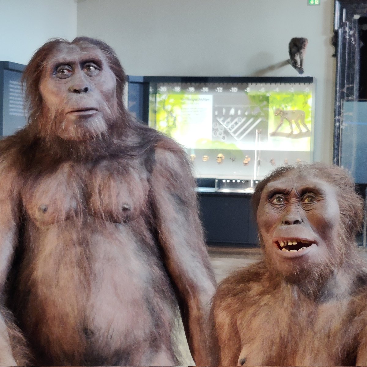 eurodancer tweet media