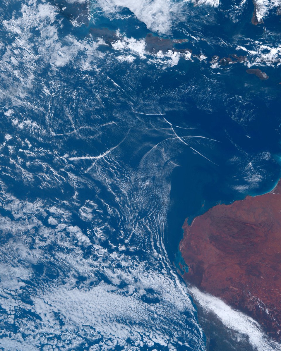 Australasia From Space tweet media