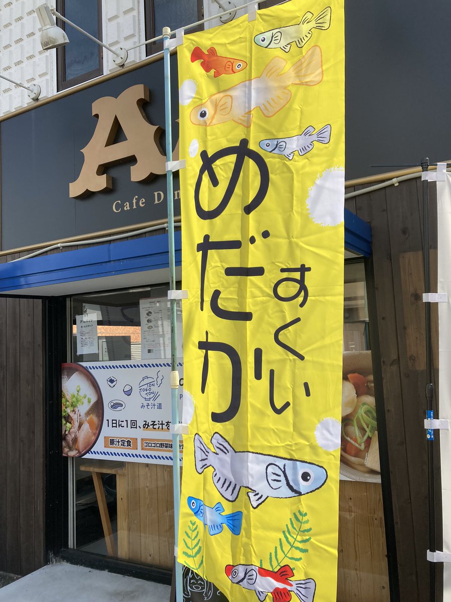 Kobiton5's tweet photo. おはようございます🐠☀
今日は出張にて、橿原市葛本町にある味噌汁専門店トントコトンさんのお店の前にて、メダカ販売、メダカ掬いを開催しております😊♪♪
お近くに寄られた際には、お気軽に遊びに来て下さい✨✨

#メダカ
#みそ汁道トントコトン
#橿原市葛本町
#メダカ掬い https://t.co/rtK9fD76eB