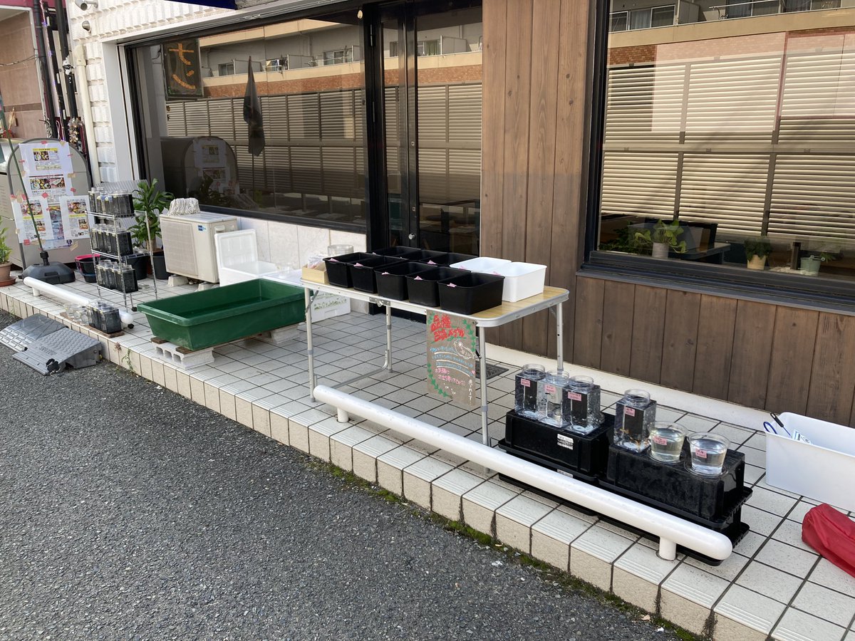 Kobiton5's tweet photo. おはようございます🐠☀
今日は出張にて、橿原市葛本町にある味噌汁専門店トントコトンさんのお店の前にて、メダカ販売、メダカ掬いを開催しております😊♪♪
お近くに寄られた際には、お気軽に遊びに来て下さい✨✨

#メダカ
#みそ汁道トントコトン
#橿原市葛本町
#メダカ掬い https://t.co/rtK9fD76eB