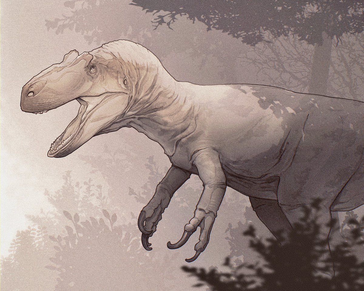 Allosaurus, inspiration taken from <a href="/Beast_SculptKit/">Creative Beast Studio</a> and <a href="/LittleBaardo/">Jacob Baardse</a>