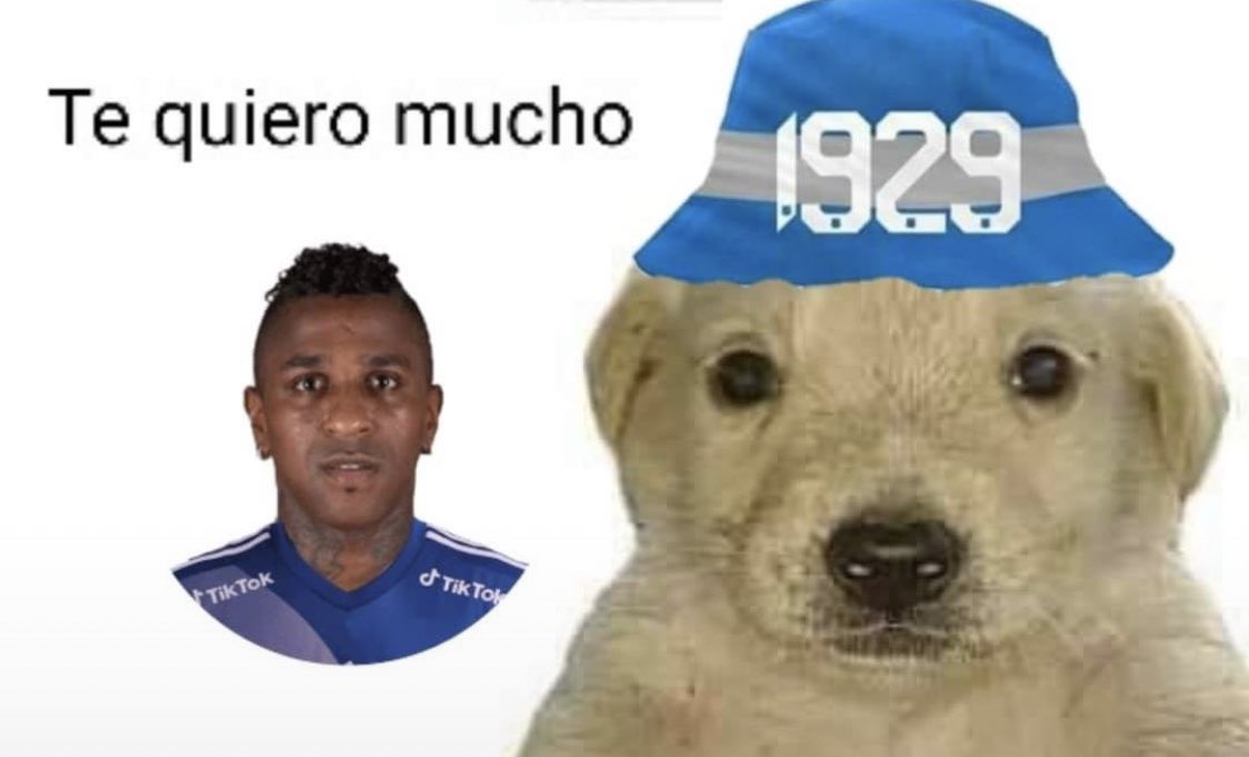 Hincha_Azul's tweet photo. https://t.co/WyDyIOHbG4