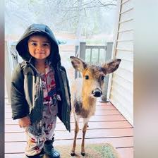 Female deer will instinctively come to rescue human babies if they hear them crying.