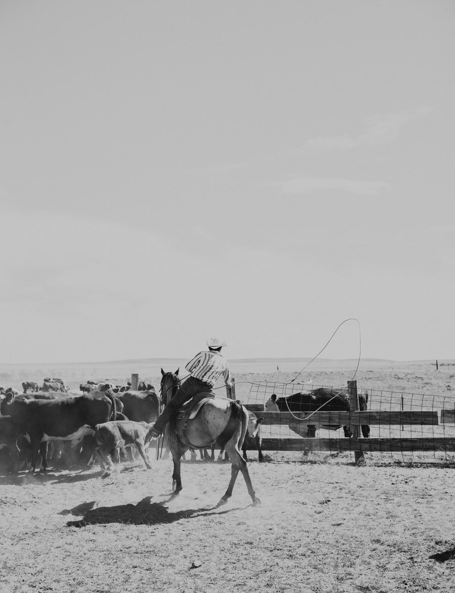 Kelliecahillphoto.com 🤠