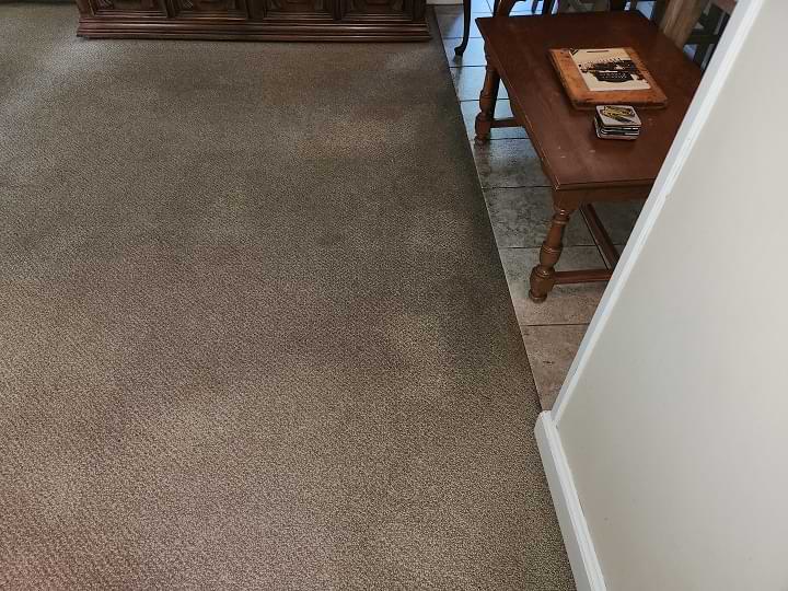 dmsclean's tweet image. Carpet Cleaning in New Canaan, Connecticut