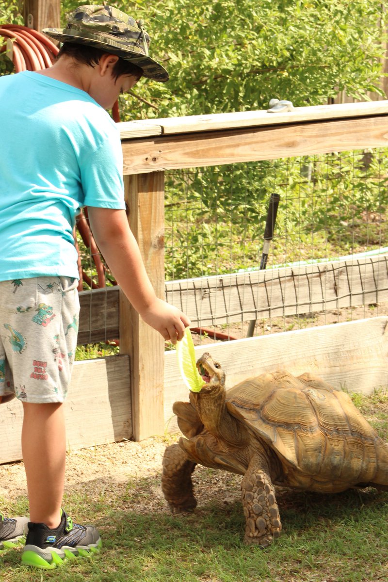 BanditoBill tweet media