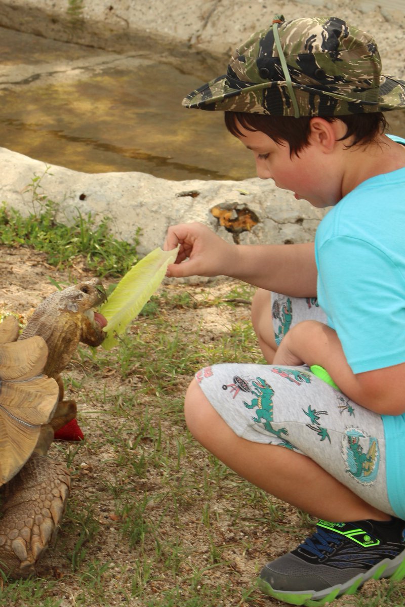 BanditoBill tweet media