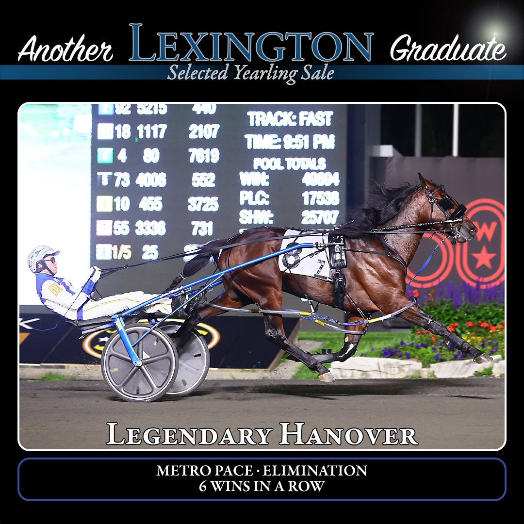 LEGENDARY HANOVER made it 6 in a row with a Metro Pace elimination win on Saturday night @woodbinesb, the rich final will be held next Saturday.
