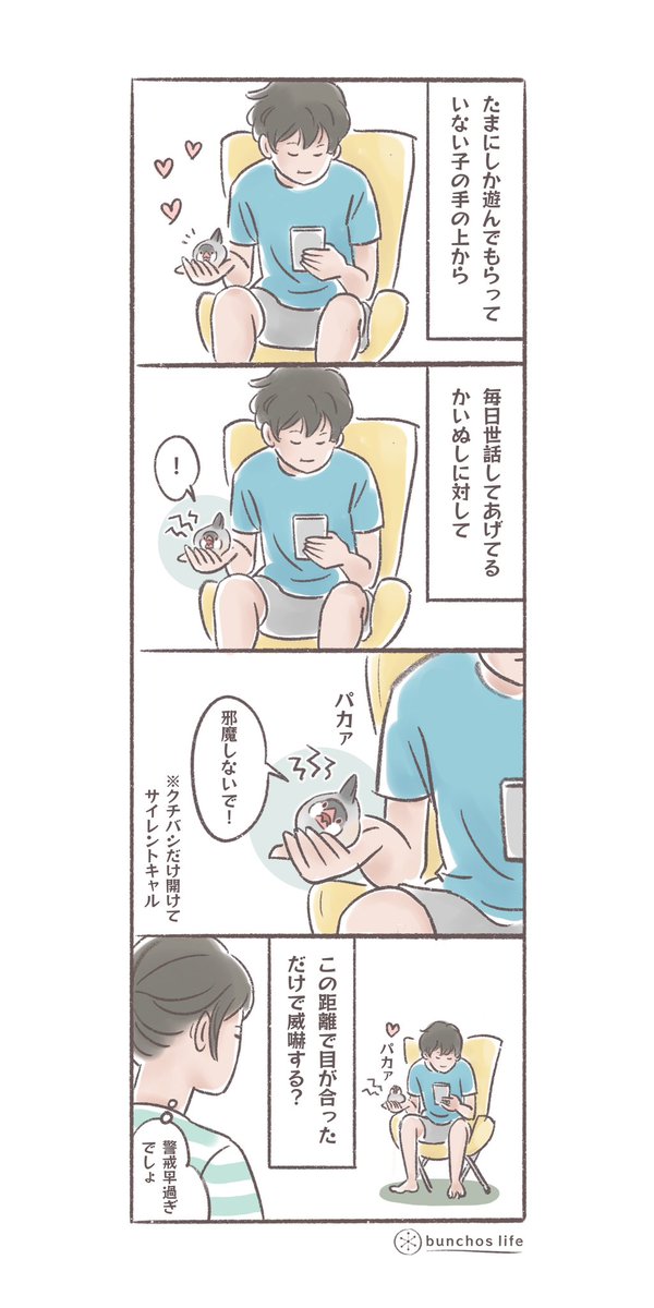 お誕生日に久しぶりに子に沢山遊んでもらった2号、この幸せを壊したくなくてかいぬしは遠くから目を合わすだけでクチバシパカァで威嚇される
#文鳥 
#4コマ漫画 

*過去作ダウンロードできます!(固定ツイート参照) 