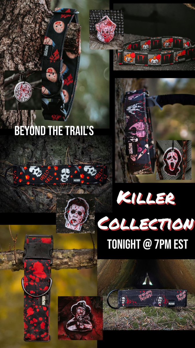 Beyond the Trail | Nicole tweet media