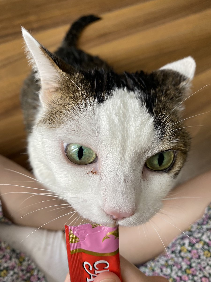 お風呂入ったやつにはごほうび
ふんがふんが