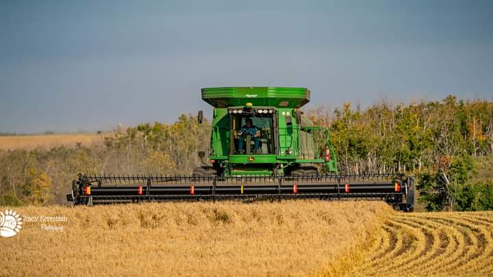 tracyportraits's tweet photo. Max Halyk and Janelle Halyk pretty green equipment. #shareyourweather #meanwhileinsask #saskatchewan #PattisonAg https://t.co/Sq2Z3tSM4c