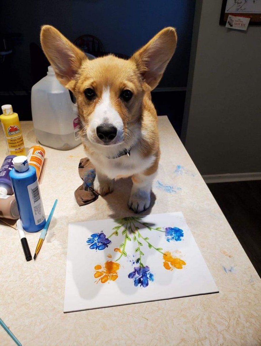 💖 (@twaniimals) on Twitter photo 