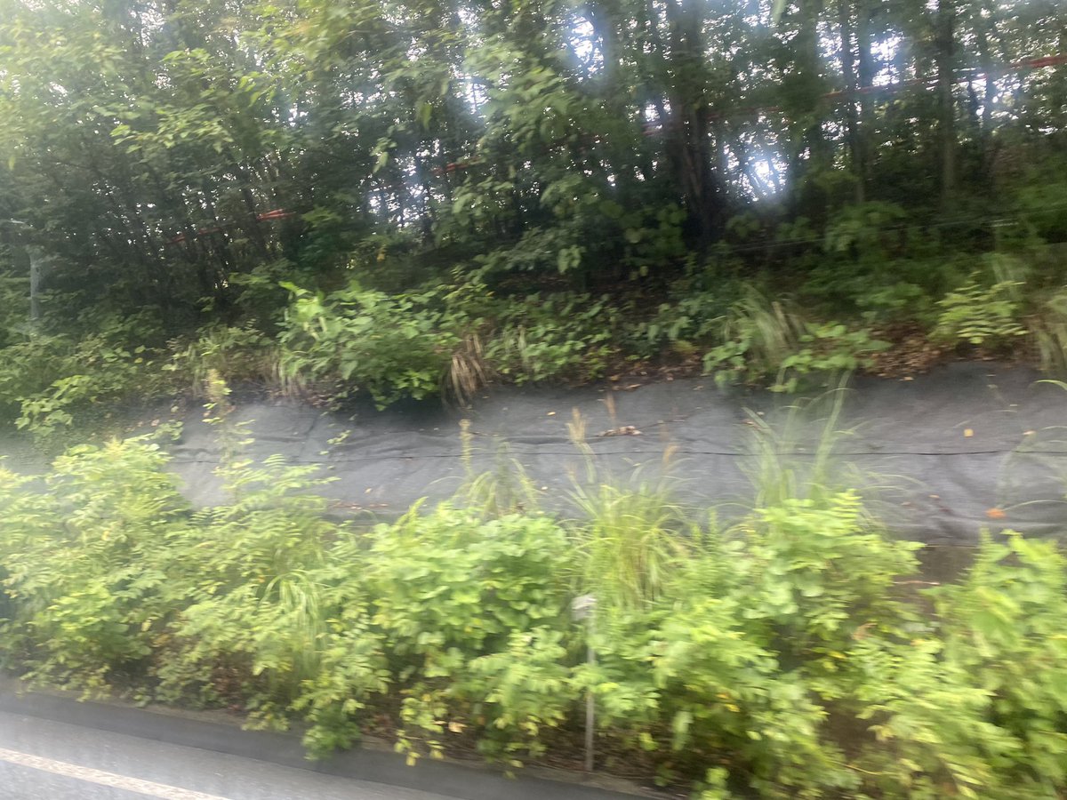 naoyan_bk's tweet photo. 渋滞でバスが到着時間36分遅れと申し訳なさそうにアナウンス。
全然良いですよ。貴方のせいでは無いですし日曜日ですし。
頭の中はTHE BLUE HEARTSの青空が流れてますし。

運転手さんそのバスに僕も乗ってけくれないか　行き先なら　どこでもいい
#西鉄バス #THEBLUEHEART ＃ブルーハーツ https://t.co/CxHbuVSAG9