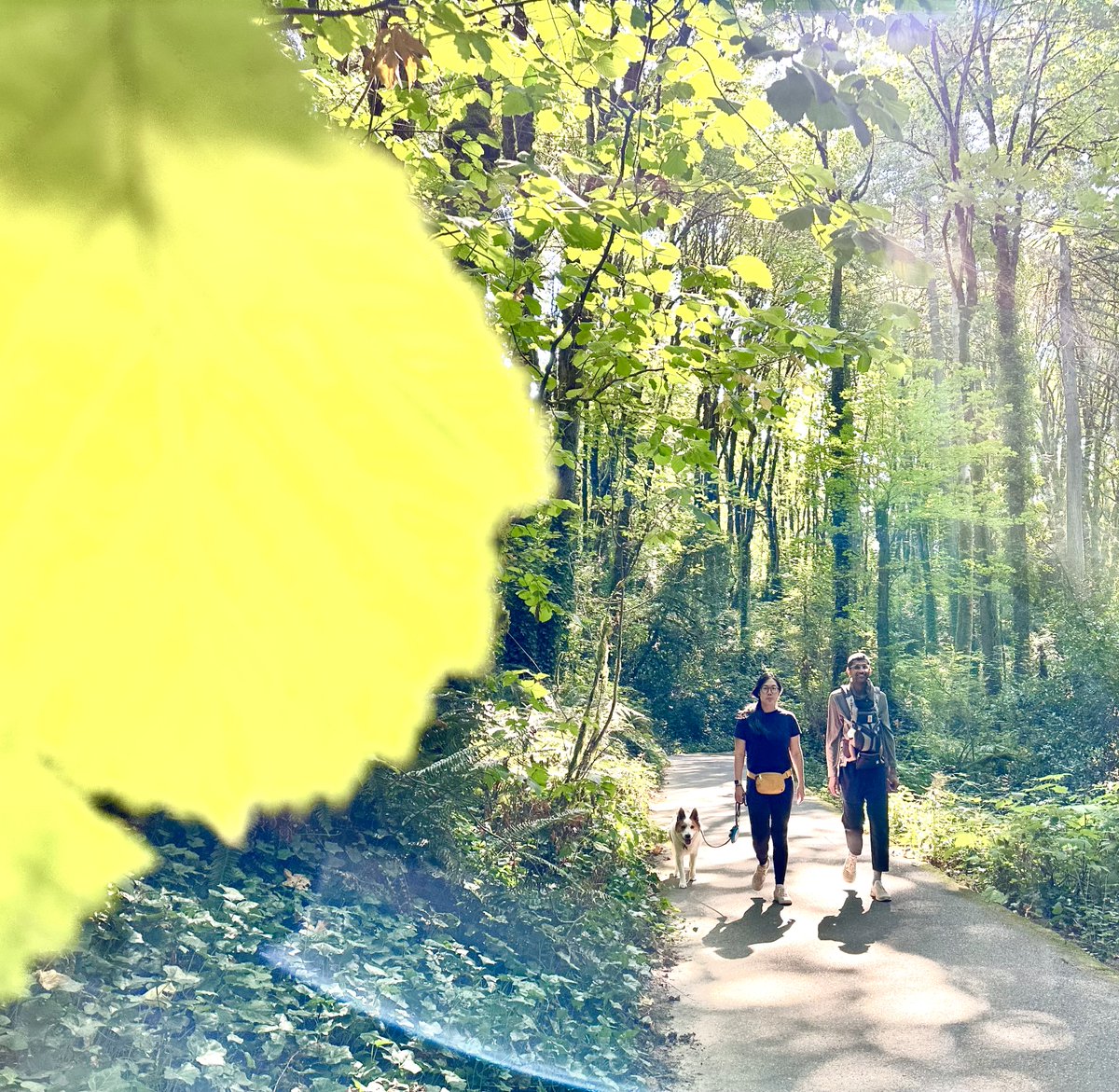 Rhusheet Patel MD tweet media