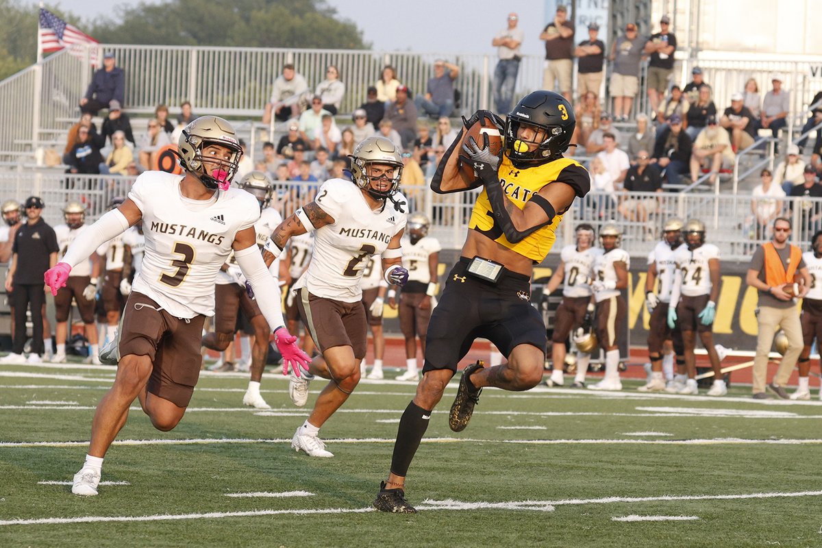 Big pass plays propel @WayneStFootball past SMSU 49-10. #NSICFB wscwildcats.com/news/2023/9/16…