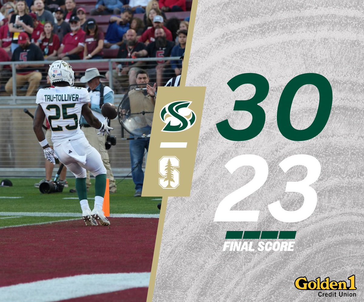 🌲 🪓 #StingersUp #GreenSwarm