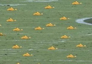 CindyGoGetIt's tweet image. This  #CSUvsCU game…