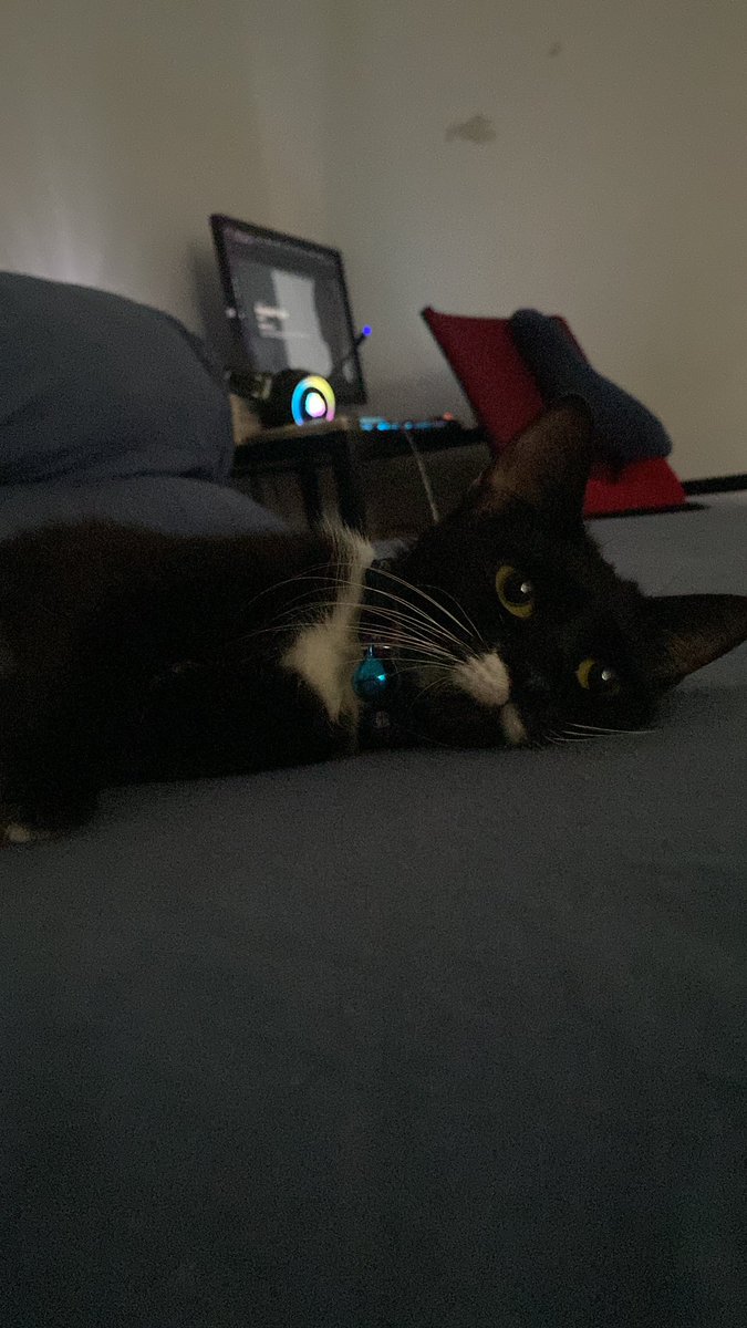 halo, selamat hari minggu