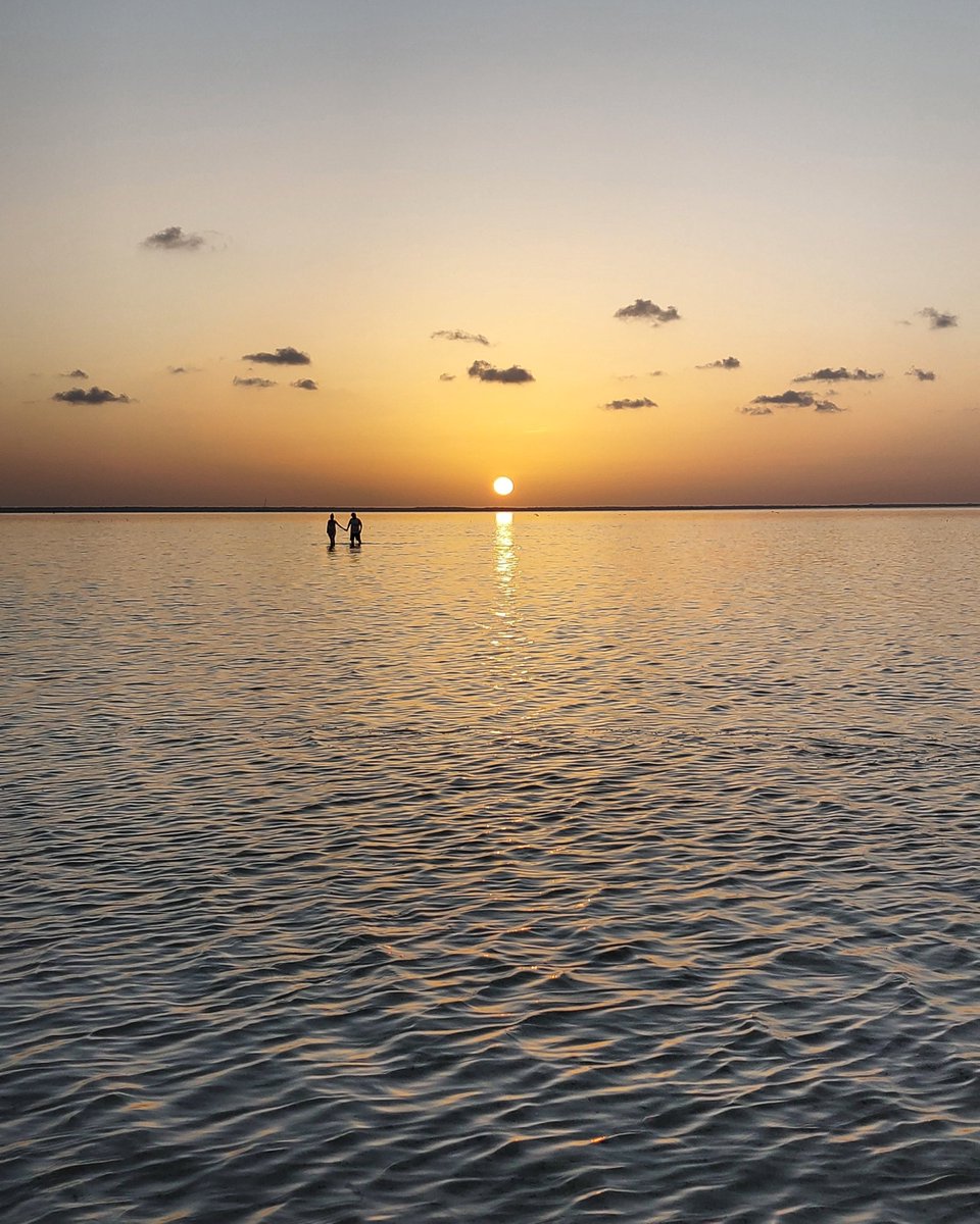 Jen 🐨 tweet media