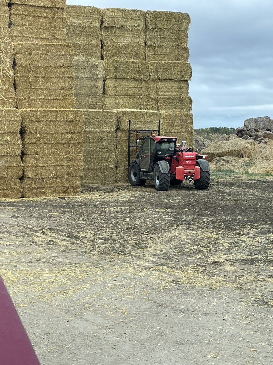 Haybusters tweet media