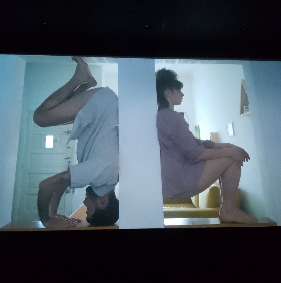 FestVDBA's tweet photo. Y pasó nuestra primera jornada con dos secciones de videos seleccionados de todas partes del mundo para la competencia oficial. Programa 1, "Puertas adentro", cuerpo y confinamiento, de inspiración pandémica. Para ver más sobre las obras y sus autores, chequeá nuestro IG. https://t.co/OuKQo8vkvn