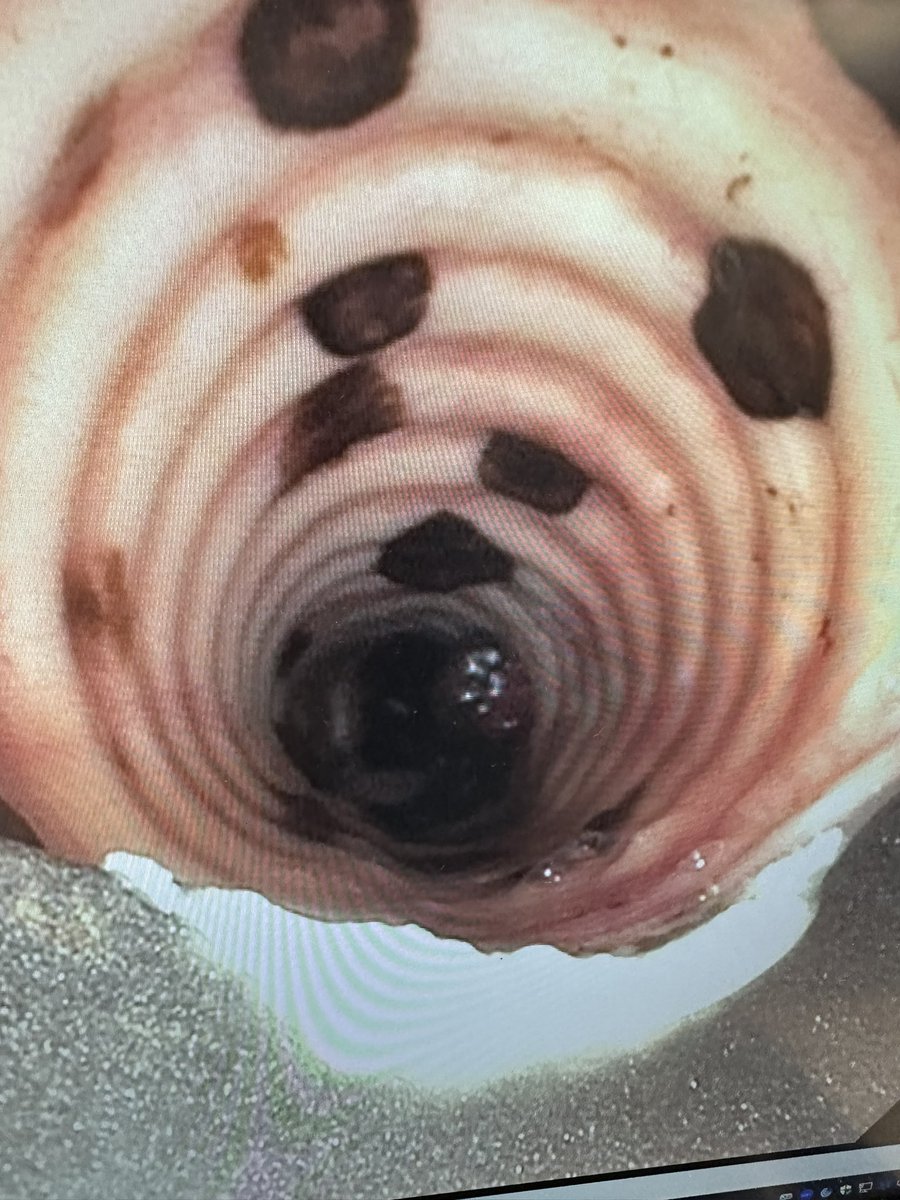 Udit Chaddha tweet media