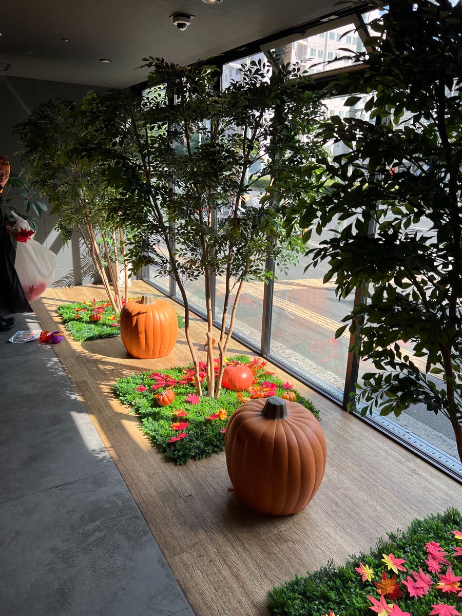 sunplaza2ax's tweet photo. 할로윈 장식을 시작했습니다🎃
2미터가 넘는 할로윈 트리가 생겼습니다.
호텔 정면의 장식을 꼭 한번 보러 와주세요.

ハロウィンの飾りつけを開始しました🎃
2メートル以上もあるハロウィンツリーは、
なかなかのものです。
ホ��ルの正面からも見ることができますので、
ぜひ一度見に来てくださいね。 https://t.co/Zpd1kxeStn