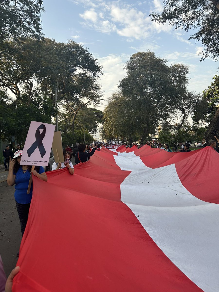 larryportera's tweet photo. Excongresista Gloria Helfer en marcha del #16S en Lima 🇵🇪 https://t.co/paQSgJI7Qy