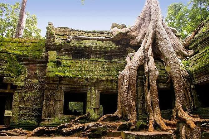 vata_foundation's tweet photo. We hear this more often these days.. “just a few trees making way.. we can always plant saplings and make up”
“just a few water bodies effected.. we can always create new ones”
We were taught many drops together make the Ocean.. similarly removing many drops can dry up the Ocean too..
Same goes to Nature.. it takes every single tree to make up the Environment along with the Water sources.
We (Every village/Town/City/State/Country) is on a fast track to destroying its environment.. thinking its jus them.. cause most places don’t have mature enough leadership to see beyond personal gain.. every leader/planner too probably thinks.. its just his little damage.. shouldn’t matter.. our economy is important.. but they are blind to the bigger picture. Blind to the rising temperatures… blind to the flooding..
Nature will be the last one to laugh.. The mighty Banyans will be one of the Architects of the final development.
Our planners and advisors fortunately helping with mindless “development” that HAS destroyed many species and will most likely destroy our race too on this planet.. then Nature will get back to rebuilding a better planet.
#environment #ClimateChaos #climatechange #globalwarming #floods #treeoflife #savefullygrowntrees
@uday32008293