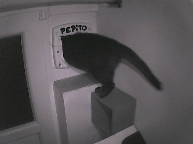 Pépito is out (06:07:57)