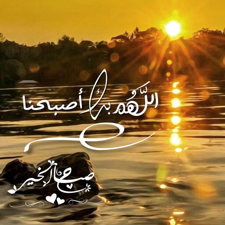 وقف ووادعني (@abosara9111) on Twitter photo 