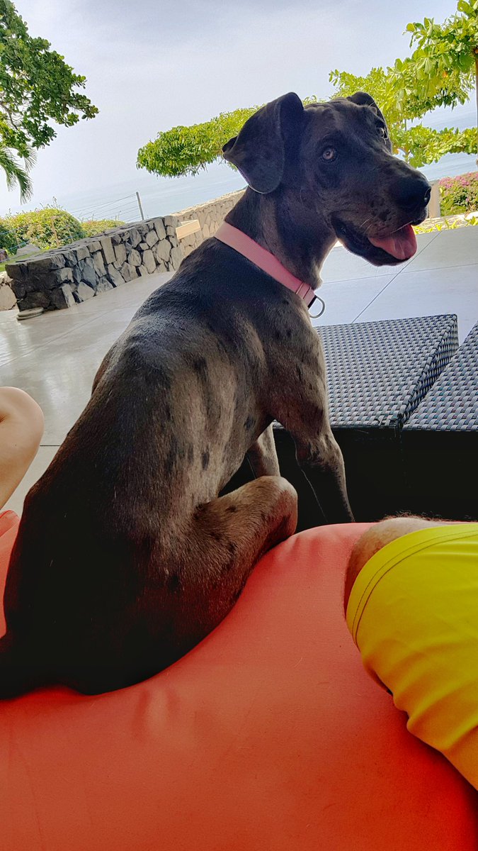 Enzo Rubio tweet media