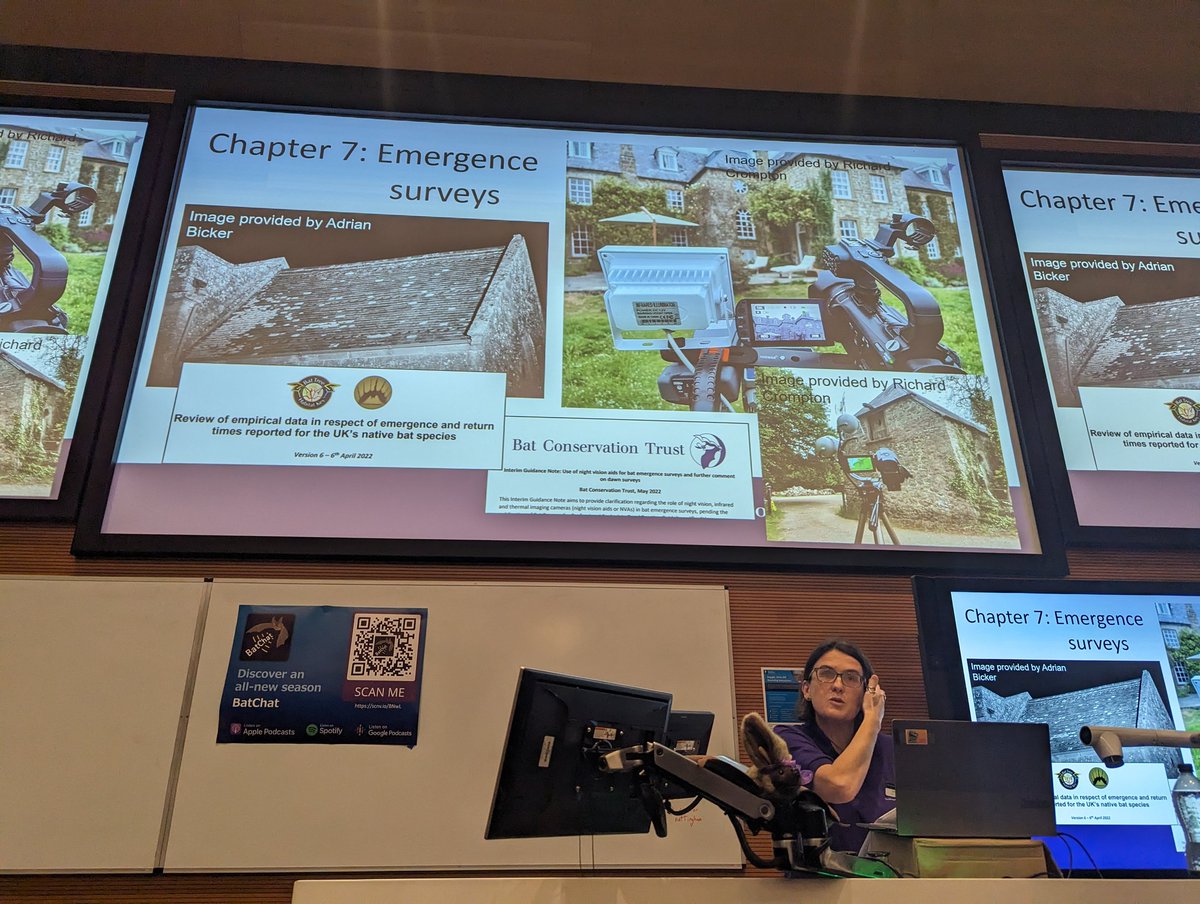 Bat Conservation Trust tweet media