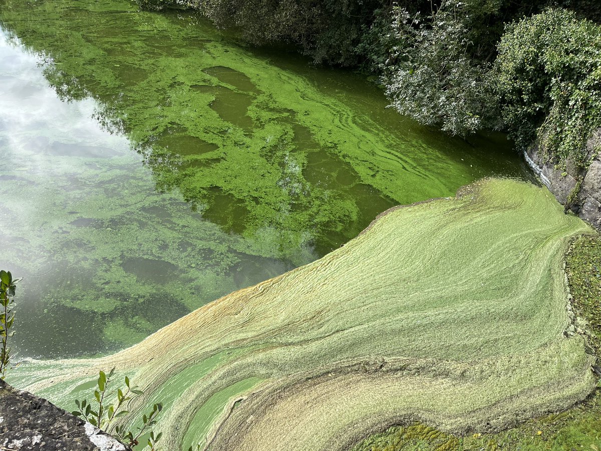 Vincent Kearney tweet media