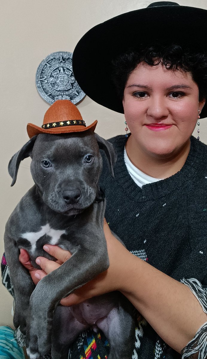 529erika's tweet photo. #FelicesFiestasPatrias 🇲🇽🤠🐶🕺 https://t.co/ASUoxk9Bnv