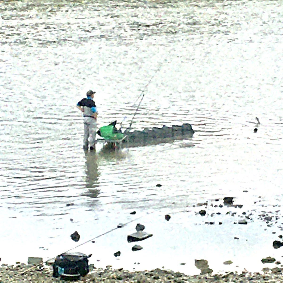 tony_white_'s tweet photo. Fishing contest along the Thames at low tide between Kew and Barnes RN #tidefest @AnglingTrust https://t.co/rXd4ccbrb7