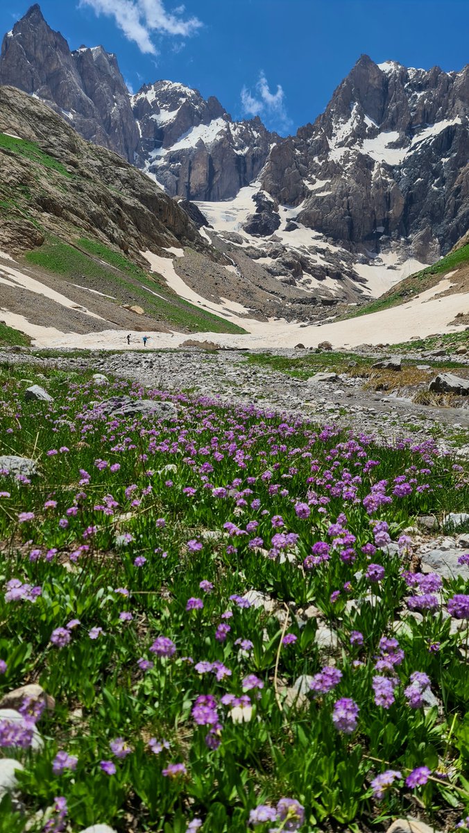 Güzelliği,doğayı,huzuru hissettiren fotoğraflar vardır.

Konum:Hakkari.